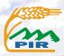 pir