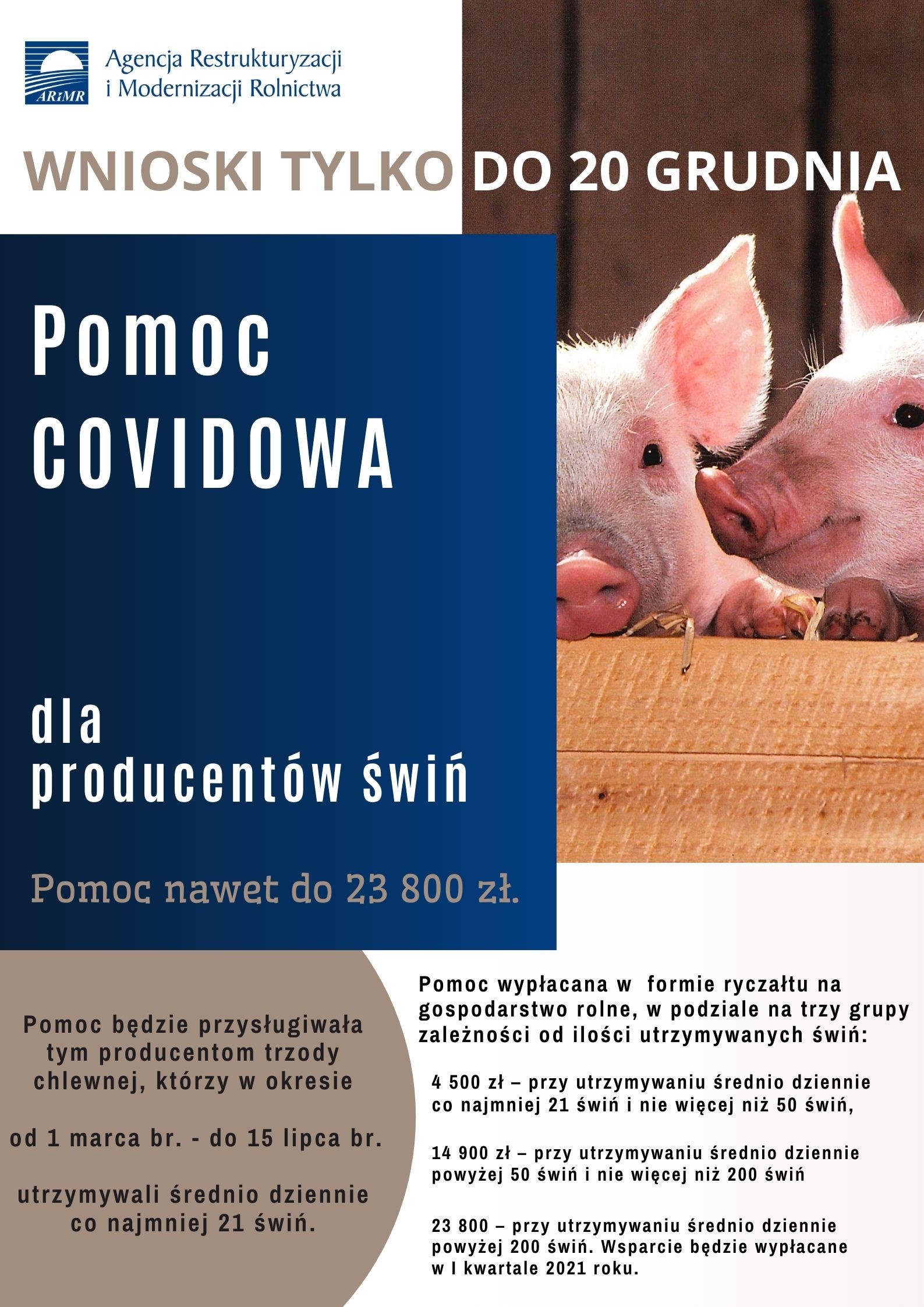 Plakat ARiMR ogłasza nabór wniosów dla producentów trzody chlewnej.