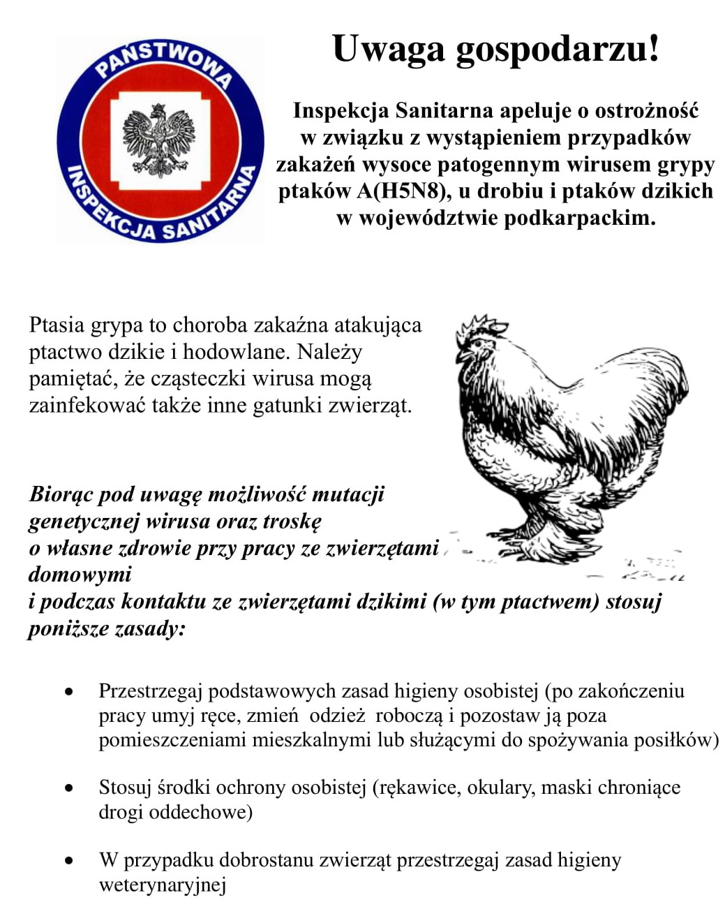  logo Inspekcji Sanitarnej. Czarno biały obrazek kury. Treść zamieszczona również pod ulotką